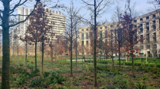 Microforêt Place de Catalogne Paris